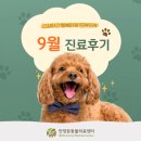 본외과동물의료센터 | 안양본동물의료센터 9월 진료후기, 평촌 24시동물병원