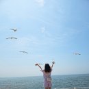 대부도 &#34;시화나래휴게소&#34; 갈매기한테 새우깡주기