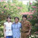 김정화 카카오 검색결과