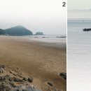 삽시도통나무펜션 이미지