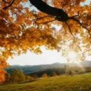 뉴-그린 공인중개사사무소 이미지