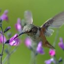 꿈이있는 이미지