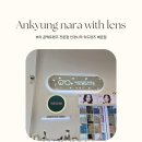 안경나라위드렌즈 | 배곧신도시 안경 전문점 뉴트럴무드 안경나라 위드나라 전문점에서 서클렌즈 맞춘 후기