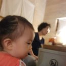 유가유치원 건너편 | [공지] 대형볼풀장과 방갈로가 있는 홍대이색카페 &#34;코코넛박스&#34; 3대가 함께 다녀온 내돈내산후기