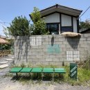 미도리케이크 | 대전역 카페 소제동 감성 디저트 카페 미도리컬러 : 주차, 영업시간, 통메론케이크 후기
