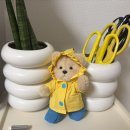 테디햄 | 내돈내산 / 테디테일즈 레나베어XS 해변시리즈(feat. 테디테일즈 친구들) 솔직한 후기❤️