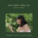 무아레 서점