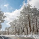눈