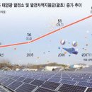동원태양광발전소 이미지
