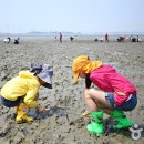 주식회사 어촌 이미지