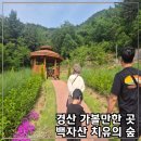 [공지] 경산 백자산 치유의 숲 30분 힐링 산책코스 및 프로그램 대구 근교 가볼만한곳