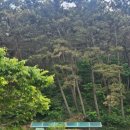 바다와 파도소리 이미지