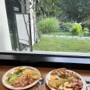 메리도그하우스 이미지