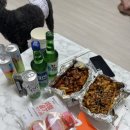 동근목장 네이버블로그