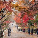 차지킴이 이미지