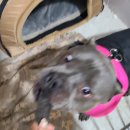 더야무지개 이미지