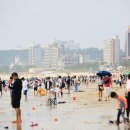 대천해수욕장 이미지