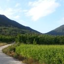 은별농장 이미지