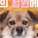 나의 정원 이미지