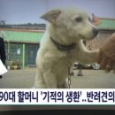 백구(10)
