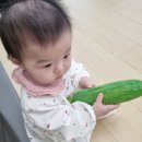 문화마트 | 창원 롯데마트 맥스 방그리 오감만족 문화센터 4일차 후기