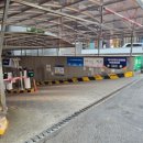 모모식당 | 일산 수제돈까스맛집 모모식당 후기