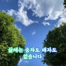 삶에는 승자도 패자도 없습니다 이미지
