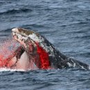 CW-1816-01 이미지