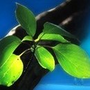 (주)케이이씨 이미지