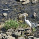 가평카라반캠핑농원 이미지