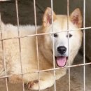 창신농장 이미지