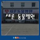 새론동물병원