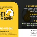 라파동물병원 네이버블로그