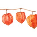 윈드크린 이미지