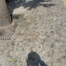 기동반-53 이미지