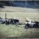 진실농장 이미지