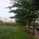 호수현대테니스장