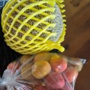 과일맛있고싼집 - 광산구 풍영로145번길 106 | 과일맛있고싼집