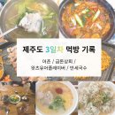 청하카서비스 | 제주 3일차 먹방 기록 | 어촌, 금돈상회, 왓츠유어플레이버, 만세국수 후기