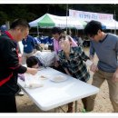 함백중학교 이미지