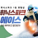 에이스스포츠샵 | 휘닉스파크 렌탈샵 스키강습 에이스 방문 후기