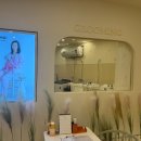 모든애견미용실 이미지