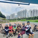 명태덕장 이미지