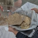 나누리농원 이미지