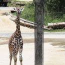 기린PC방 이미지