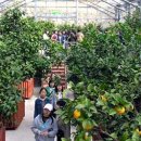 서귀포감귤박물관 이미지