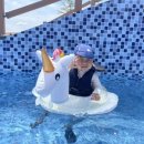 클럽아이리스 이미지