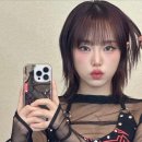 스타일코디 이미지