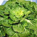 조은세상영농조합법인 이미지