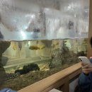 플레이하우스 | 부산 아쿠아플레이하우스 후기